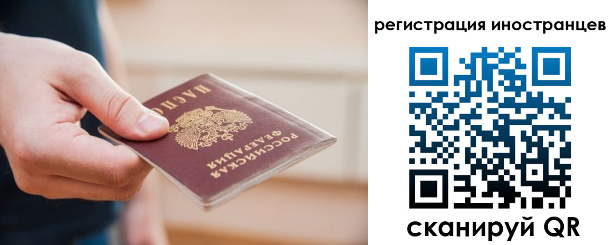 прописка гарантия в Суздали